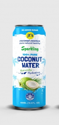 JT'S SPARKLING COCONUT WATER CAN 490ml