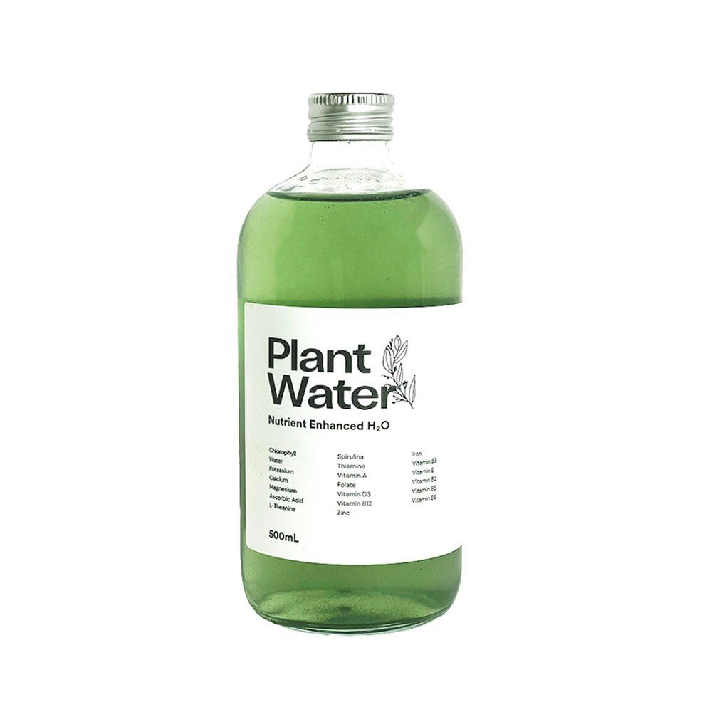 PLANT WATER H2O - 500ml